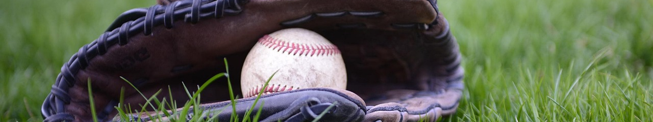 White Sox Sign Veteran Outfielder Austin Slater